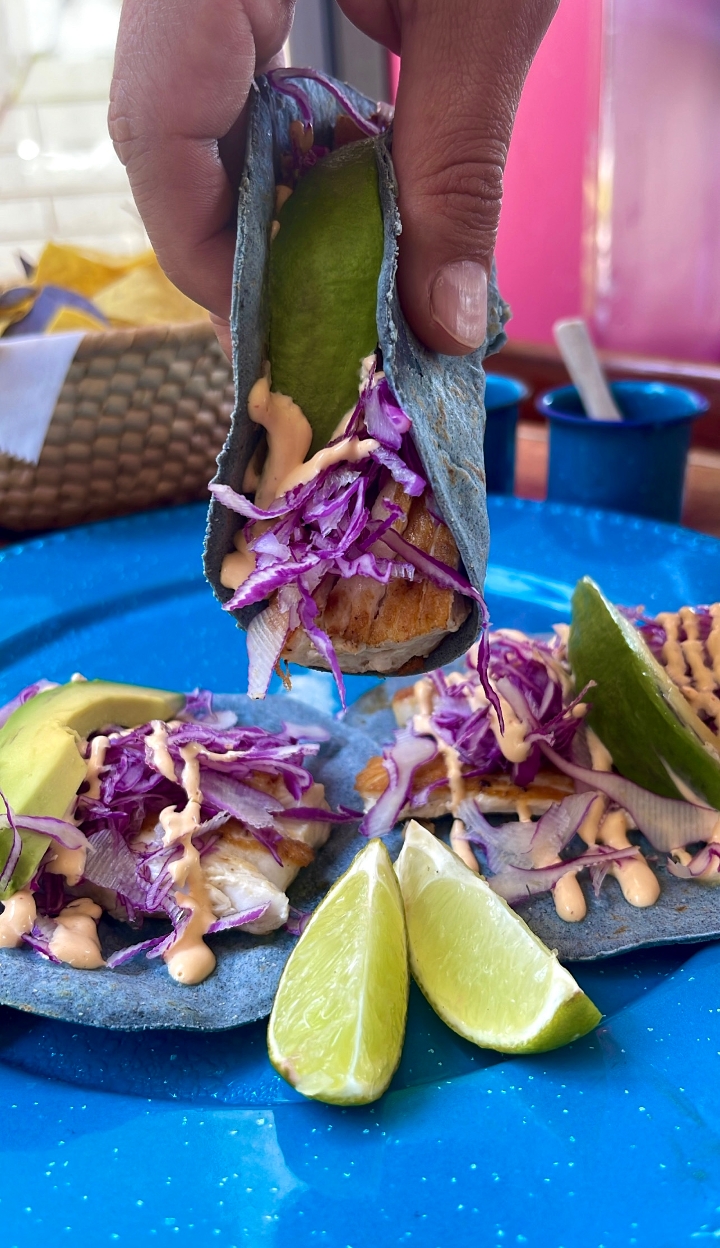 Tacos Mahi-Mahi Fish